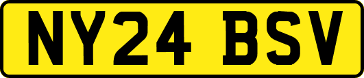 NY24BSV