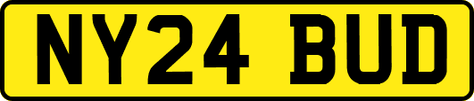 NY24BUD