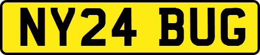 NY24BUG