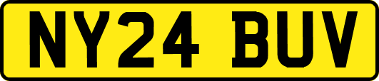 NY24BUV