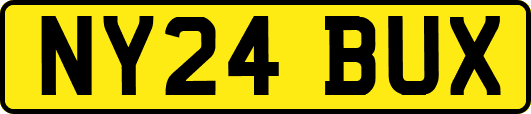 NY24BUX