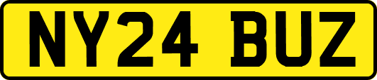 NY24BUZ