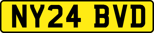 NY24BVD
