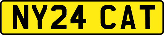 NY24CAT
