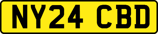 NY24CBD