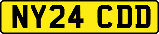 NY24CDD