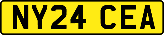 NY24CEA