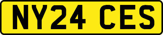 NY24CES