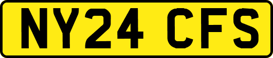 NY24CFS