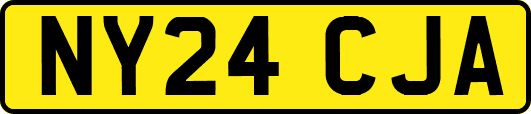 NY24CJA