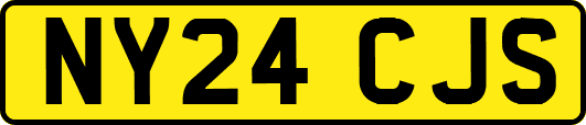 NY24CJS