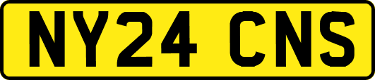 NY24CNS