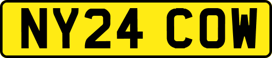 NY24COW