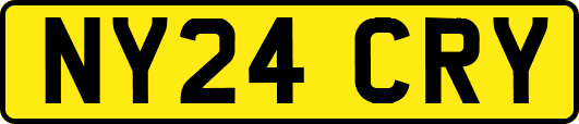 NY24CRY