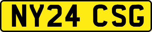 NY24CSG