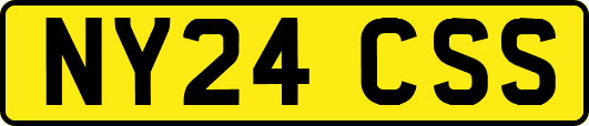 NY24CSS