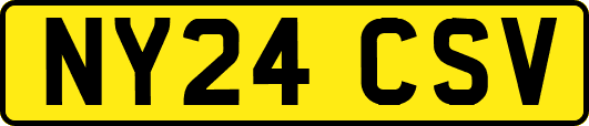 NY24CSV