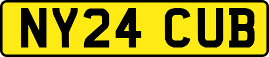 NY24CUB