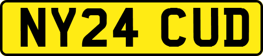 NY24CUD