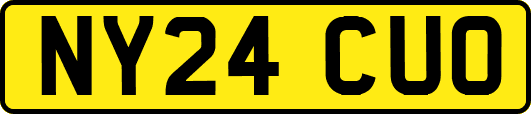 NY24CUO