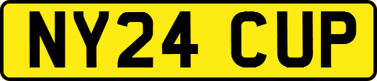 NY24CUP