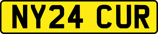 NY24CUR
