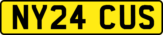 NY24CUS