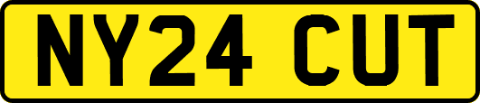 NY24CUT
