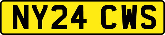 NY24CWS