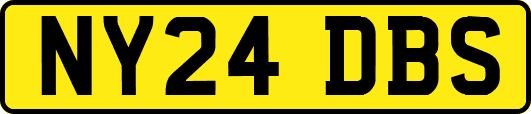 NY24DBS