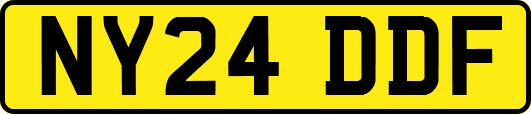 NY24DDF