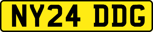 NY24DDG