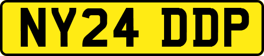 NY24DDP