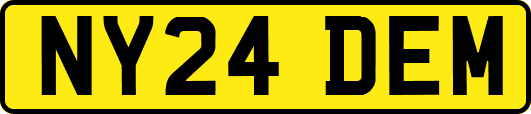 NY24DEM
