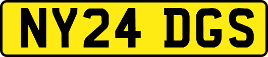 NY24DGS
