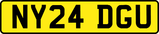 NY24DGU