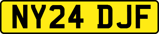 NY24DJF