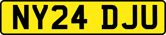 NY24DJU