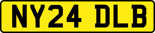 NY24DLB