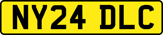 NY24DLC