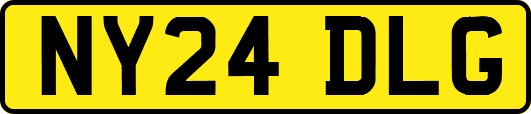 NY24DLG