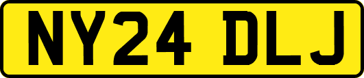 NY24DLJ