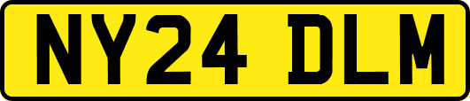 NY24DLM