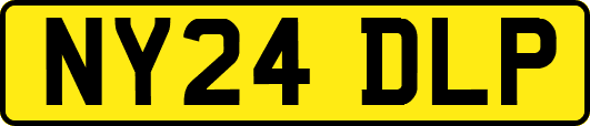 NY24DLP