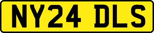 NY24DLS