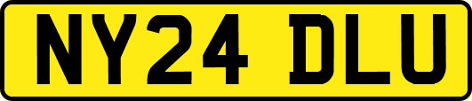 NY24DLU
