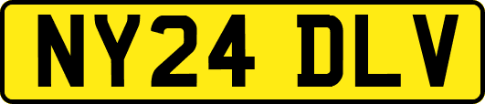 NY24DLV