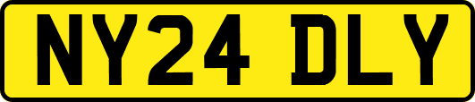 NY24DLY