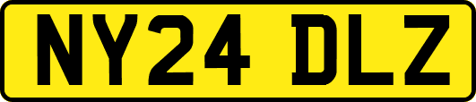 NY24DLZ