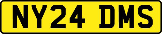 NY24DMS